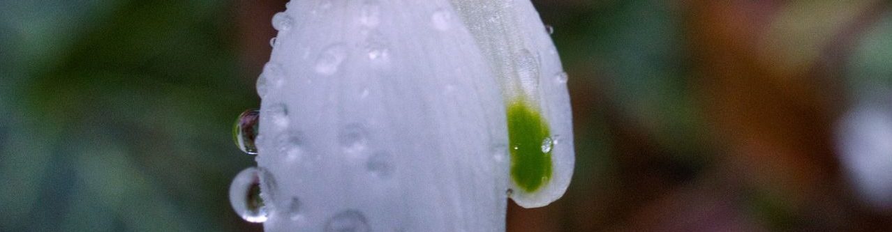 Natascha Schuster, M.A. M.A.