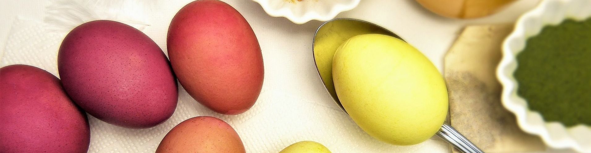 Natascha Schuster, M.A. M.A.