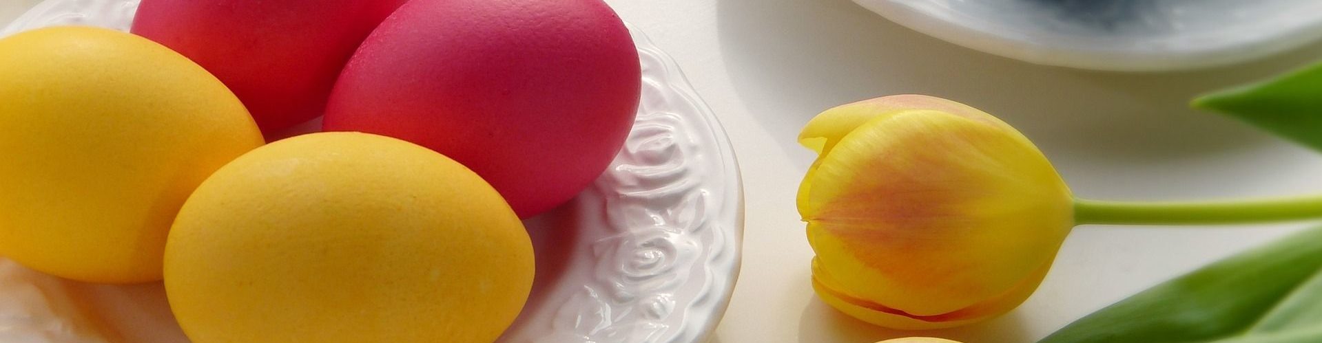 Natascha Schuster, M.A. M.A.