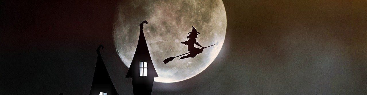 Natascha Schuster, M.A. M.A.