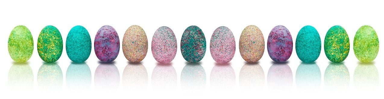 Natascha Schuster, M.A. M.A.