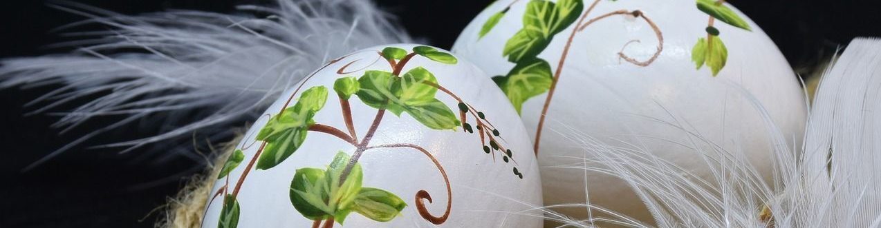 Natascha Schuster, M.A. M.A.