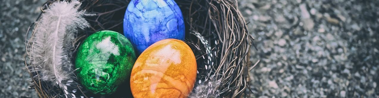 Natascha Schuster, M.A. M.A.