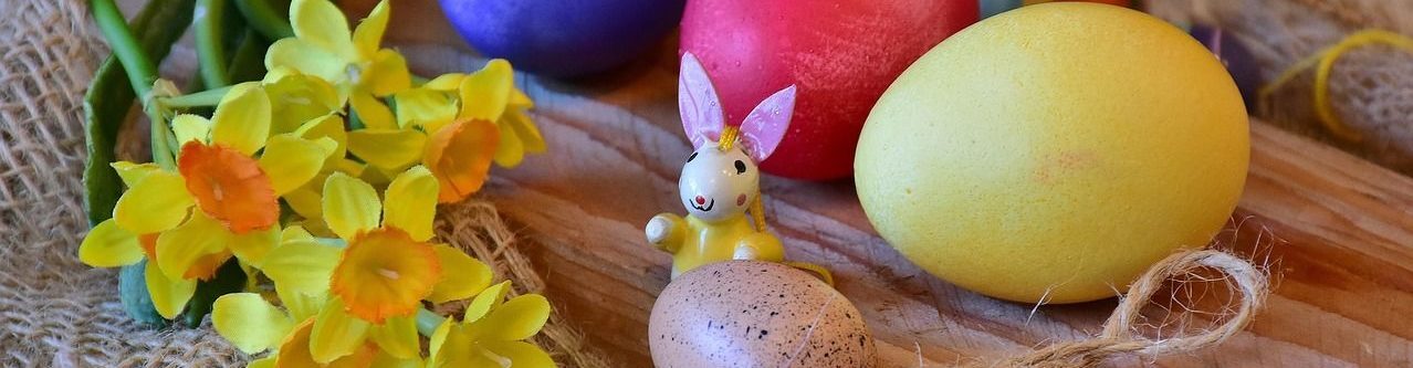 Natascha Schuster, M.A. M.A.