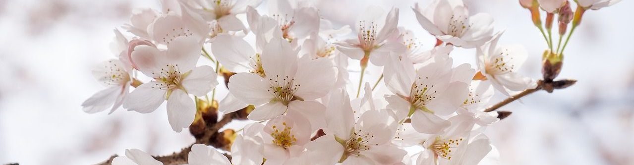 Natascha Schuster, M.A. M.A.