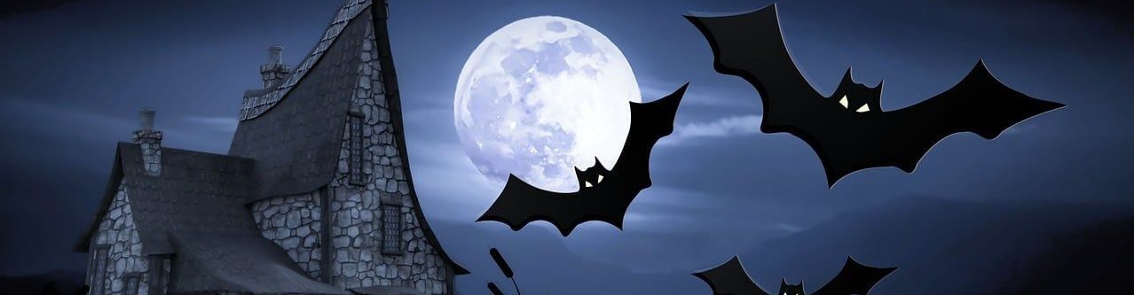 Natascha Schuster, M.A. M.A.