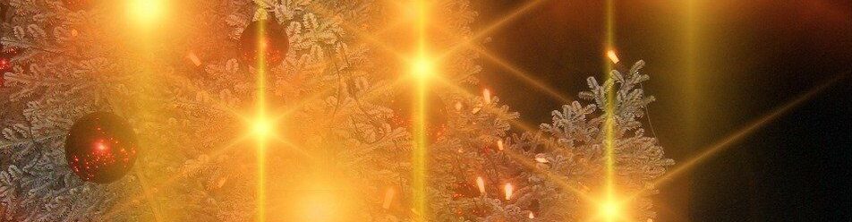 Natascha Schuster, M.A. M.A.