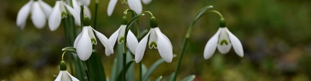 Natascha Schuster, M.A. M.A.