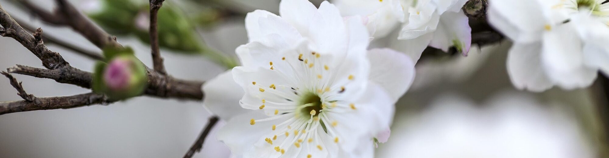 Natascha Schuster, M.A. M.A.